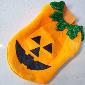 Dog Pumpkin Pet Halloween Costume